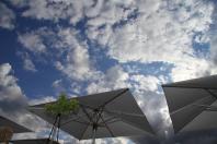 Sommer in Düsseldorf